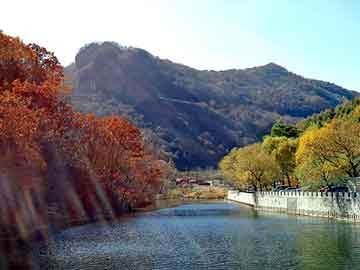 管家婆黑白马报图库，大红荣苹果